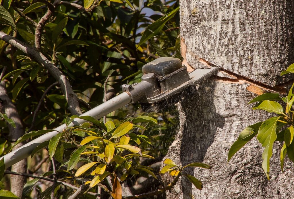 chainsaw, saw, sawdust